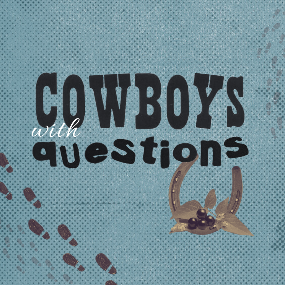 Question Cowboy Cowboys with Questions | Washington Ensemble Theatre